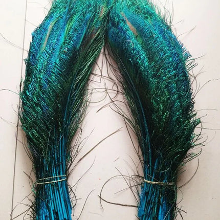 Wholesale Real Peacock Feathers (50-100/lot)