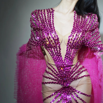 See Through Fuchsia Pink Evening Gown Long Tail Showgirl Stage Ball Dress
