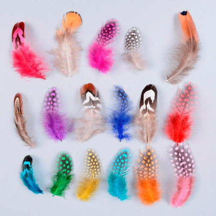 Natural Spotted Guinea Fowl Feathers 100PC