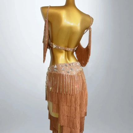 Luxury Tassel Top & Skirt Belly Dance Performance Set
