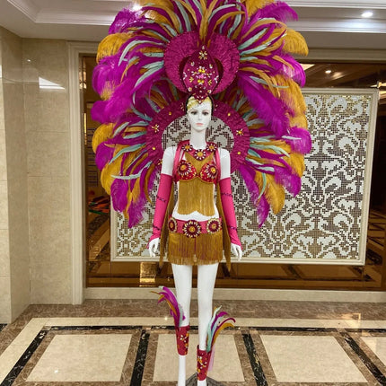 Regal Feathered Backpiece and Rhinestone Costume Set