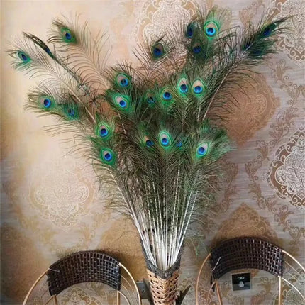 Wholesale Real Peacock Feathers (50-100/lot)