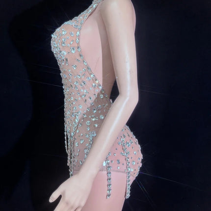 Silver Crystal Halter Illusion Bodysuit Sparkly Backless Rhinestone Stage Leotard