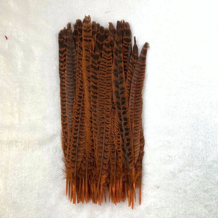 Natural Female Pheasant Tail Feathers (10pcs/lot)
