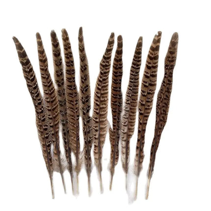 Natural Female Pheasant Tail Feathers (100PCS)