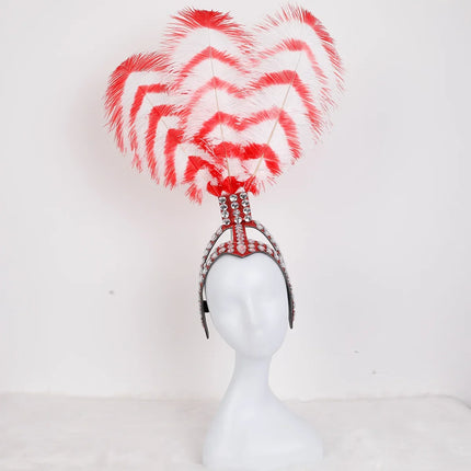 Striped Feather Headdress