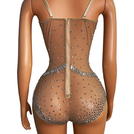 Sparkly Silver Crystal Rhinestone Mesh Leotard Stage Performance Costume