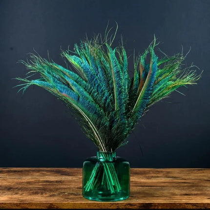 Wholesale Real Peacock Feathers (50-100/lot)