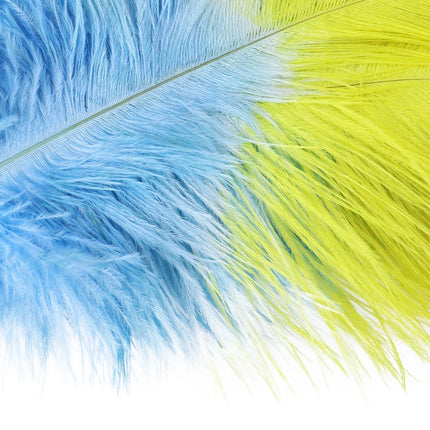 10PC Two-Tone Decorative Feather Plumes