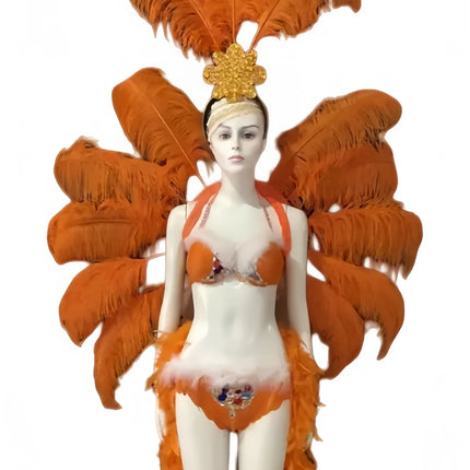 The Stardust Victoria Sovereign – Deluxe Angel Feather Wing & Headdress Stage Costume Set
