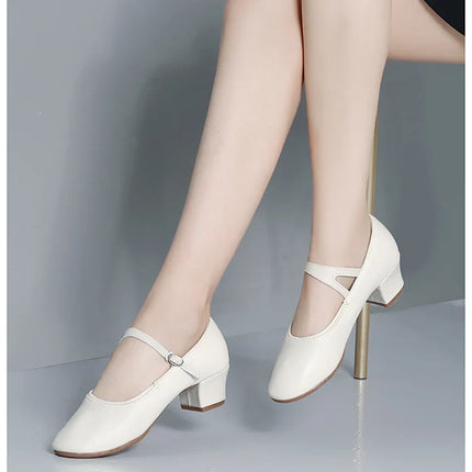 The Stardust Carousel Mary Jane – Classic Low-Heel Dance Pump