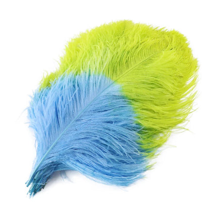 10PC Two-Tone Decorative Feather Plumes