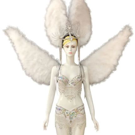 Multi-Color Feathered Wing and Headdress Performance Set