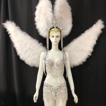 Multi-Color Feathered Wing and Headdress Performance Set