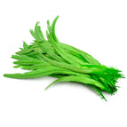 Apple green / 10-12inch 25-30cm