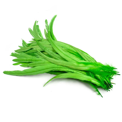 100PCS Natural Rooster Tail Feathers (25-40CM)