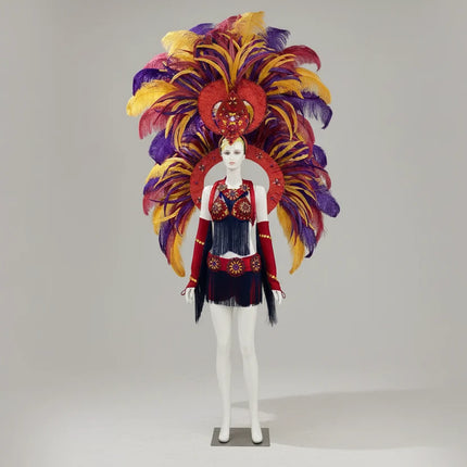 Regal Feathered Backpiece and Rhinestone Costume Set