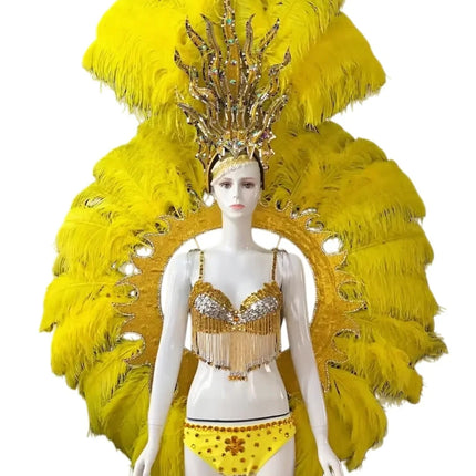 Feathered Carnival Headdress and Backpack Wing Set