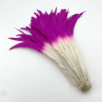 50PCS Two-Tone Rooster Tail Feathers (35-40CM)