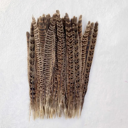 Natural Female Pheasant Tail Feathers (10pcs/lot)