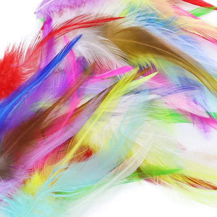 Natural Pheasant & Chicken Craft Feathers Bulk Lot