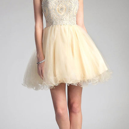 Ladivine UJ0119 Short Appliqued Bodice Halter Tulle Skirt Dress