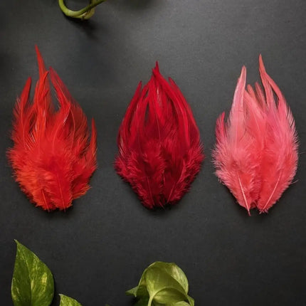 Natural Pheasant & Chicken Craft Feathers Bulk Lot