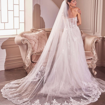 Embroidery Hem Lace Chapel Veil