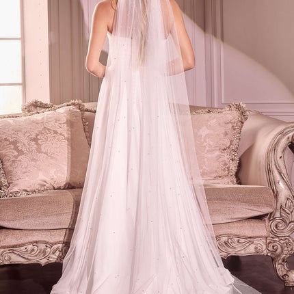 Pearl Drops Chapel Veil