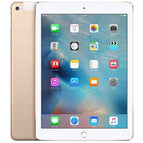 Fair / 16GB / Gold