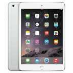 Fair / 16GB / Gray