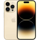 Gold / 256GB