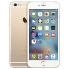 Fair / 16GB / Gold