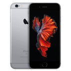 Fair / 16GB / Gray
