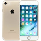 Fair / 32GB / Gold