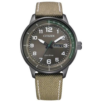 Citizen Men's Weekender