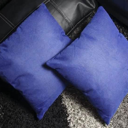 2-Pack: Blue Throw Pillows