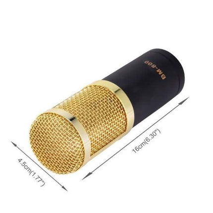 BM800 Professional Condenser Microphone
