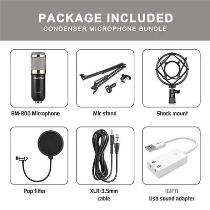 BM800 Professional Condenser Microphone
