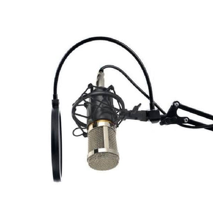 BM800 Professional Condenser Microphone