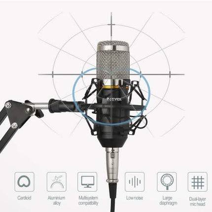 BM800 Professional Condenser Microphone