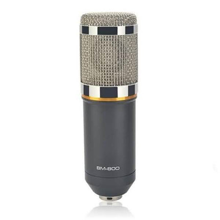 BM800 Professional Condenser Microphone