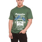 Medium / Pine Green