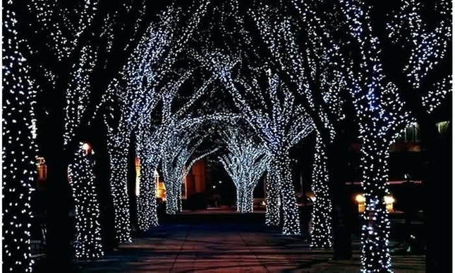 Solar-Powered 100 LED Fairy Light String - Assorted Colors
