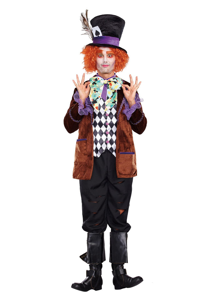 Hatter Madness Men Costume