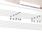 Whiteboard