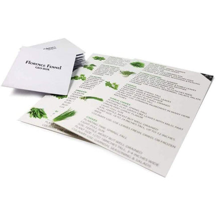 Easily Grow 10 Culinary Herb Garden Kit