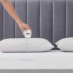2-Pack Pillow Cover