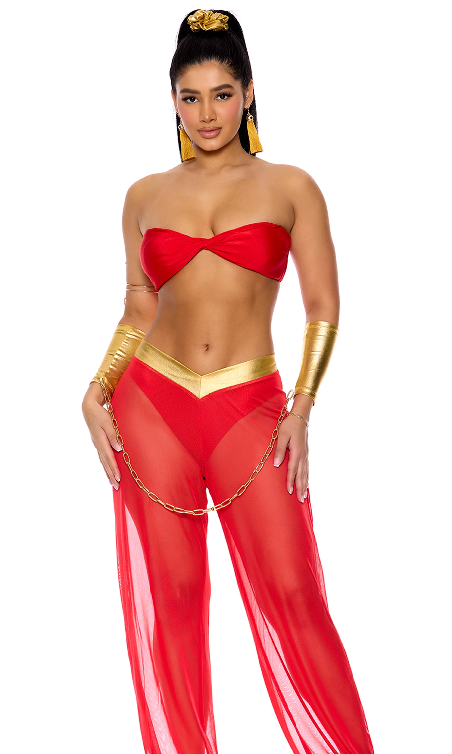 Royal Service Women Harem Costume by Forplay only at  TeeJayTraders.com