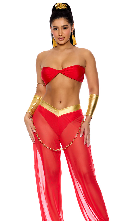 Royal Service Women Harem Costume by Forplay only at  TeeJayTraders.com